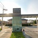 The Palm City Hill