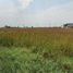  Land for sale in Suvarnabhumi Airport, Nong Prue, Lat Krabang