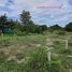  Land for sale in Hua Hin, Thap Tai, Hua Hin