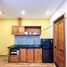 Studio Townhouse for rent in Son Tra Da Nang, Man Thai, Son Tra, Da Nang