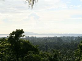  Land for sale in Surat Thani, Lipa Noi, Koh Samui, Surat Thani