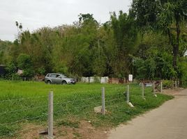  Land for sale in Pak Khao San, Mueang Saraburi, Pak Khao San