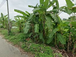  Grundstück zu verkaufen in Sattahip, Chon Buri, Bang Sare