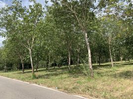  Land for sale in Thung Pho, Na Di, Thung Pho