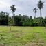  Land for sale in Koh Samui, Na Mueang, Koh Samui