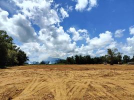  Grundstück zu verkaufen in Takua Thung, Phangnga, Khok Kloi