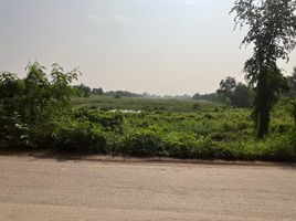  Grundstück zu verkaufen in Uthai, Phra Nakhon Si Ayutthaya, Ban Hip, Uthai