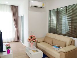 1 Bedroom Apartment for rent at Hinoki Condo Chiangmai, Chang Phueak, Mueang Chiang Mai