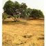  Grundstück zu verkaufen in Kachchh, Gujarat, n.a. ( 913), Kachchh