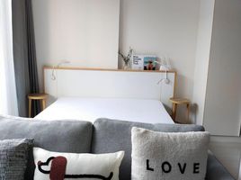 1 Schlafzimmer Wohnung zu vermieten im Noble Ambience Sukhumvit 42, Phra Khanong