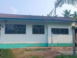  Land for sale in Surat Thani, Kadae, Kanchanadit, Surat Thani