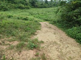  Land for sale in Chaweng Beach, Bo Phut, Bo Phut