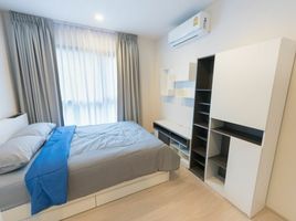 1 Schlafzimmer Appartement zu vermieten im Life Sukhumvit 48, Phra Khanong