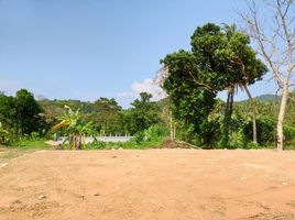  Land for sale in Klong Son Bus Station, Ko Chang, Ko Chang