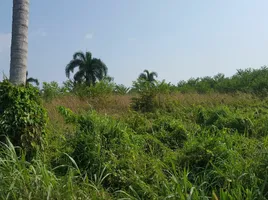 Land for sale in Pong, Pattaya, Pong, Pattaya