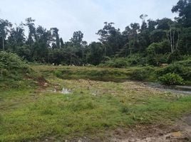  Land for sale in Upala, Alajuela, Upala