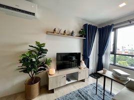 1 Bedroom Apartment for rent at THE BASE Height-Chiang Mai, Wat Ket