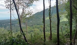 N/A Grundstück zu verkaufen in Lipa Noi, Koh Samui 