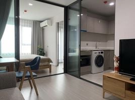 1 Schlafzimmer Wohnung zu vermieten im Life Ladprao, Chomphon