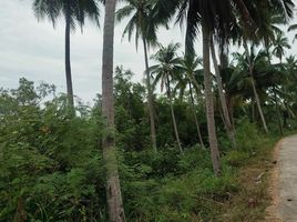  Grundstück zu verkaufen in Thap Sakae, Prachuap Khiri Khan, Na Hu Kwang