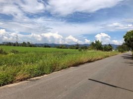  Grundstück zu verkaufen in San Pong, Chiang Mai, San Pong, Mae Rim, Chiang Mai