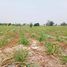  Land for sale in Doem Bang Nang Buat, Suphan Buri, Nong Krathum, Doem Bang Nang Buat