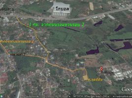  Land for sale in Tha Wang Tan, Saraphi, Tha Wang Tan