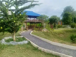 2 Bedroom House for sale in Chiang Mai, Khi Lek, Mae Rim, Chiang Mai