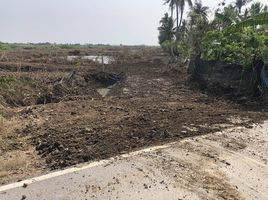  Land for sale in Laem Phak Bia, Ban Laem, Laem Phak Bia