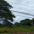  Grundstück zu verkaufen in Phu Kradueng, Loei, Phu Kradueng