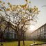 1 Bedroom Condo for sale at Dcondo Campus Resort Chiang-Mai, Suthep, Mueang Chiang Mai