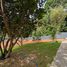 3 Bedroom House for sale in Chiang Rai, Tha Khao Plueak, Mae Chan, Chiang Rai