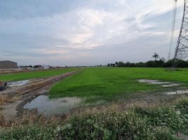  Land for sale in Bang Bua Thong, Nonthaburi, Lam Pho, Bang Bua Thong