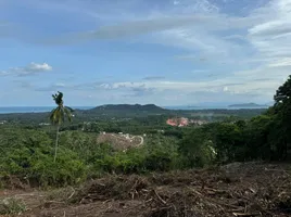  Grundstück zu verkaufen in Koh Samui, Surat Thani, Na Mueang, Koh Samui