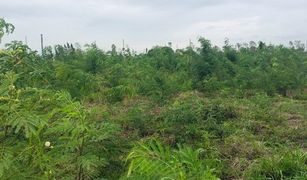 N/A Land for sale in Sam Mueang, Phra Nakhon Si Ayutthaya 
