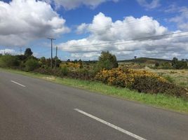  Land for rent in Chile, Puerto Montt, Llanquihue, Los Lagos, Chile