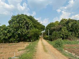  Land for sale in Nakhon Ratchasima, Khlong Muang, Pak Chong, Nakhon Ratchasima