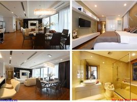 4 Bedroom Apartment for sale at Vinhomes Times City - Park Hill, Vinh Tuy, Hai Ba Trung
