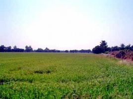  Grundstück zu verkaufen in Lat Bua Luang, Phra Nakhon Si Ayutthaya, Lat Bua Luang, Lat Bua Luang, Phra Nakhon Si Ayutthaya