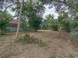  Land for sale in Hang Dong, Chiang Mai, San Phak Wan, Hang Dong