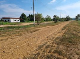  Grundstück zu verkaufen in Khanu Woralaksaburi, Kamphaeng Phet, Salok Bat, Khanu Woralaksaburi