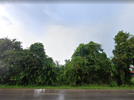  Land for sale in Chaiyaphon, Mueang Bueng Kan, Chaiyaphon