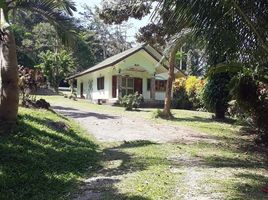  Land for sale in Phuket, Sakhu, Thalang, Phuket