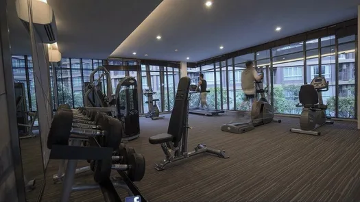 图片 1 of the Communal Gym at D Condo Mine