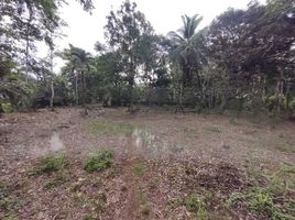  Grundstück zu verkaufen in Siquirres, Limon, Siquirres, Limon, Costa Rica