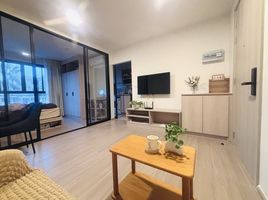 1 Bedroom Condo for rent at Dcondo Reef Phuket, Kathu, Kathu