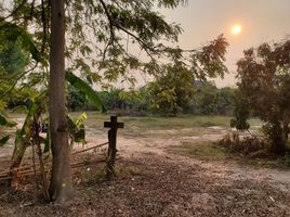  Grundstück zu verkaufen in Phu Kamyao, Phayao, Dong Chen, Phu Kamyao, Phayao