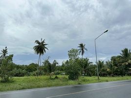  Grundstück zu verkaufen in Thalang, Phuket, Mai Khao