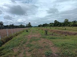 ขายที่ดิน ใน สิงหนคร สงขลา, บางเขียด, สิงหนคร, สงขลา