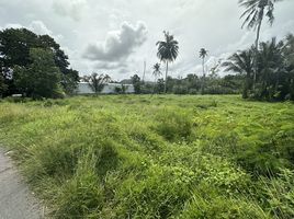  Grundstück zu verkaufen in Thalang, Phuket, Mai Khao, Thalang